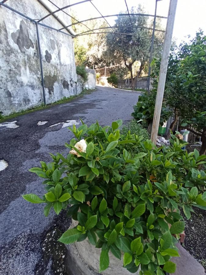 La Terrazza Quisisana Sorrento Coast Villa Castellammare di Stabia Eksteriør billede